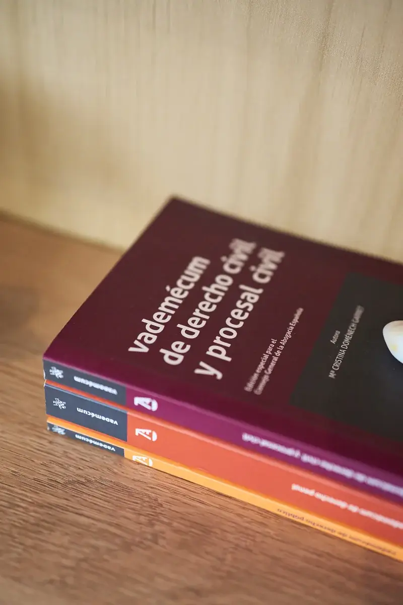 Manuales de derecho civil y procesal